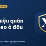Phù hiệu quân đội nhân dân Việt Nam được đeo ở đâu? (2026)