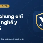 Cấp chứng chỉ hành nghề y 2026: Quy định mới, hồ sơ, thủ tục