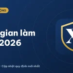 Thời gian làm việc của công ty theo quy định mới nhất 2026