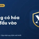 Bán hàng không có hóa đơn đầu vào: có xuất hóa đơn được không?