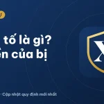 Phản tố là gì? Quyền phản tố của bị đơn trong tố tụng dân sự 2026