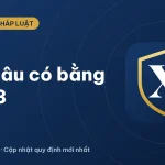 Bằng tốt nghiệp cấp 3: sau bao lâu lấy được bằng? (2026)