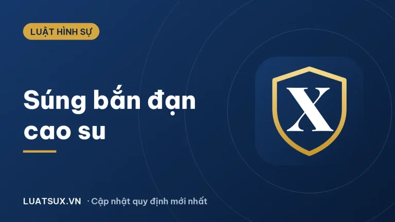 Súng bắn đạn cao su có gây chết người không? Quy định 2026