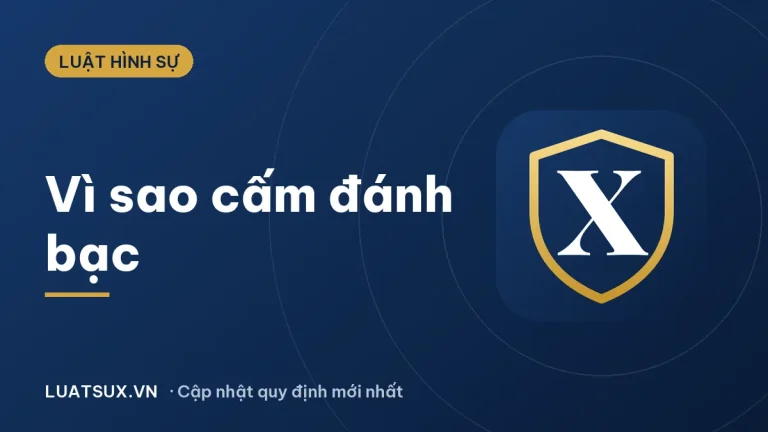 Tại sao Việt Nam lại cấm đánh bạc? Lý do và mức xử phạt 2026