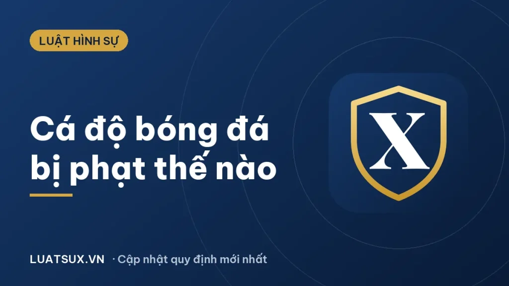Cá độ bóng đá có hợp pháp không? Mức phạt mới nhất 2026