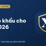 Nhập khẩu cho vợ 2026: thủ tục, hồ sơ, điều kiện mới nhất
