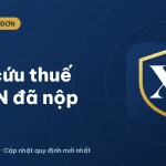Tra cứu thuế thu nhập cá nhân đã nộp online 2026: 3 cách