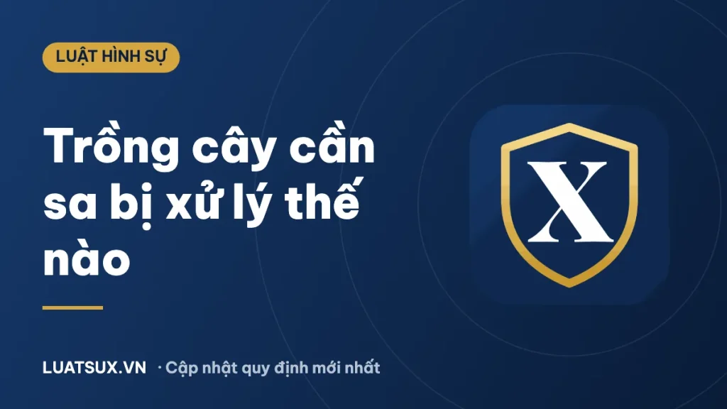 Trồng bao nhiêu cây cần sa thì bị bắt? Mức phạt mới nhất 2026