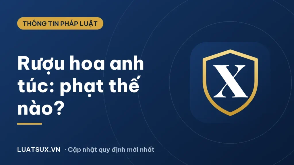 Rượu hoa anh túc: uống, ngâm, bán có vi phạm pháp luật không?