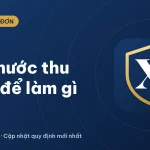 Nhà nước thu thuế để làm gì? Vì sao phải thu thuế 2026