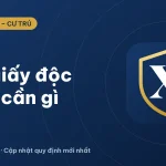 Xin giấy độc thân cần những gì? Hồ sơ, nơi nộp mới nhất 2026