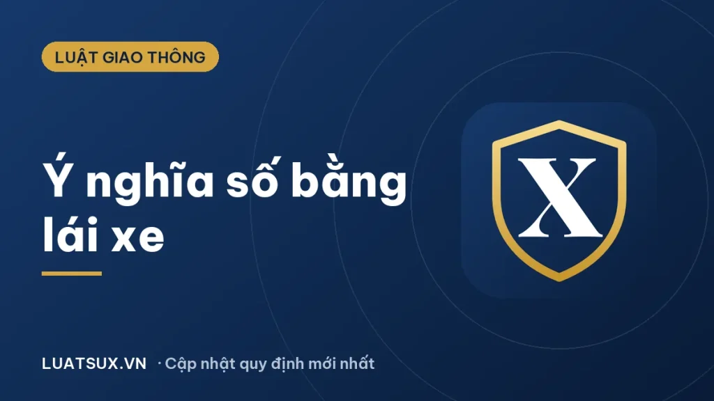 Ý nghĩa số giấy phép lái xe: giải mã 12 chữ số trên bằng lái 2026